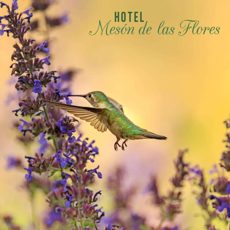 Meson De Flores Hotel Armenia (Quindio)